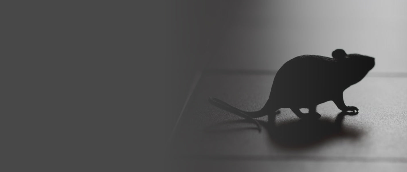 Insect and Rodent Repellents