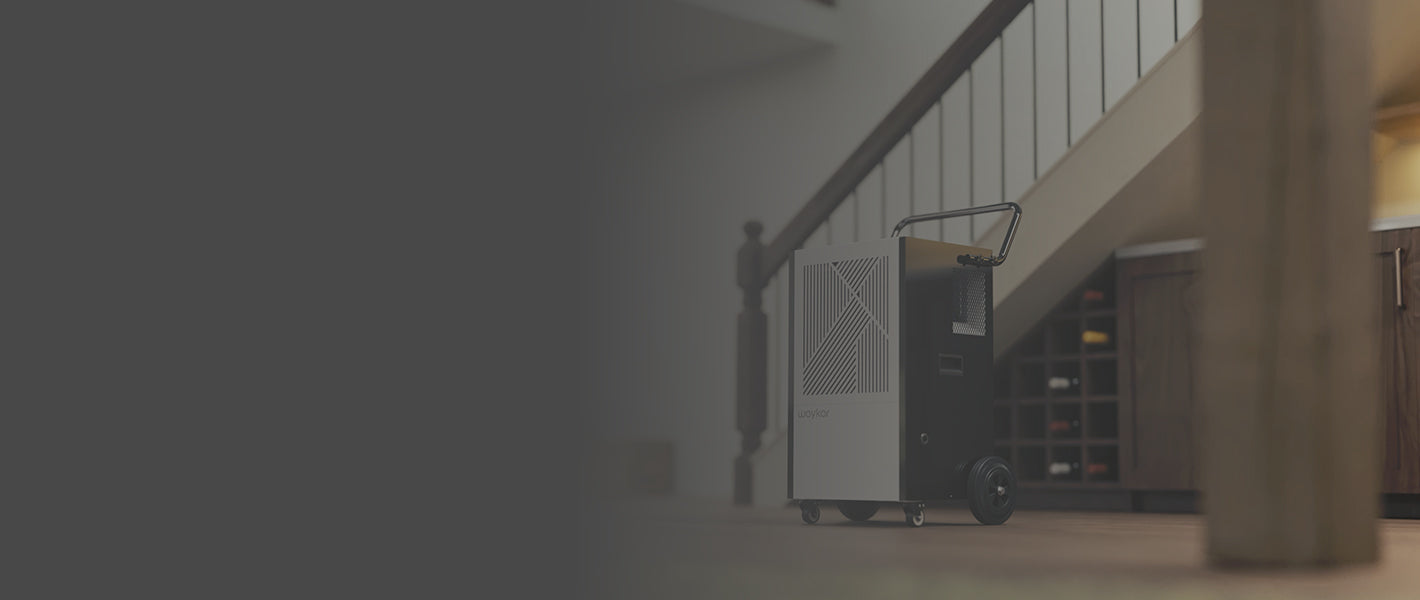 Other Construction and Renovation