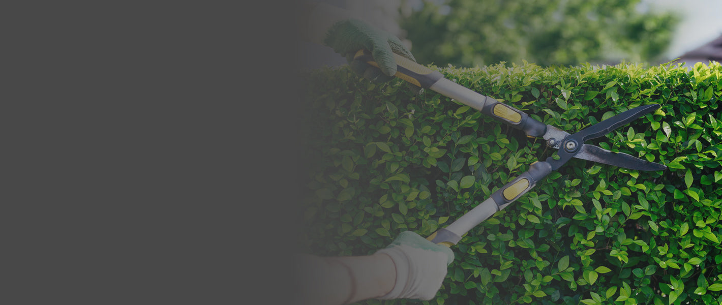 Trimming and Cutting