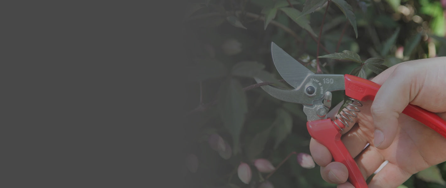 Tuinsnoeischaar