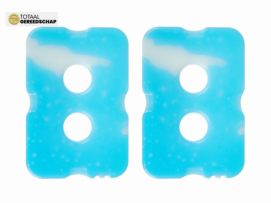 28L thermal bag  with two cooling inserts