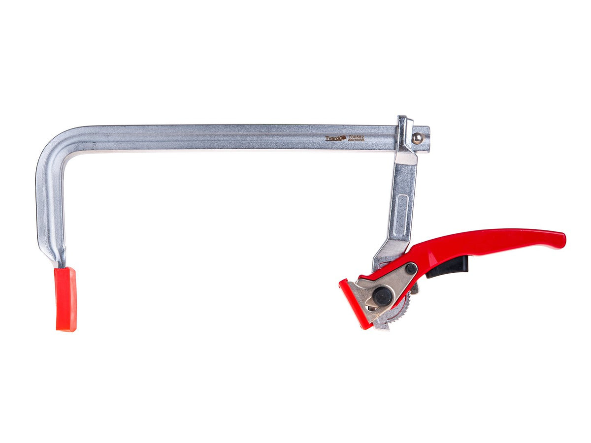 Gesmede ratel F-type klem 200x100mm