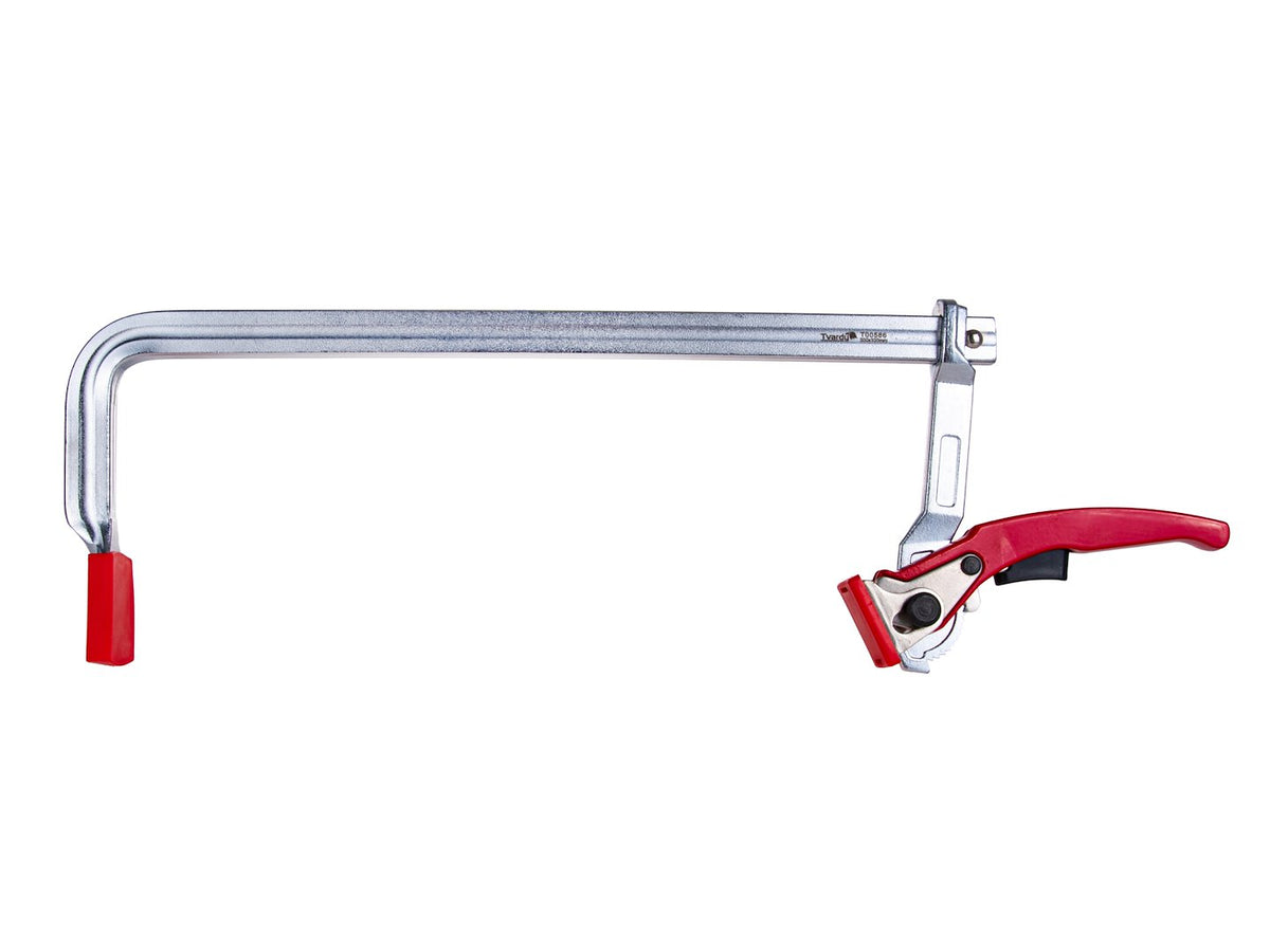Gesmede ratel F-type klem 300x100mm