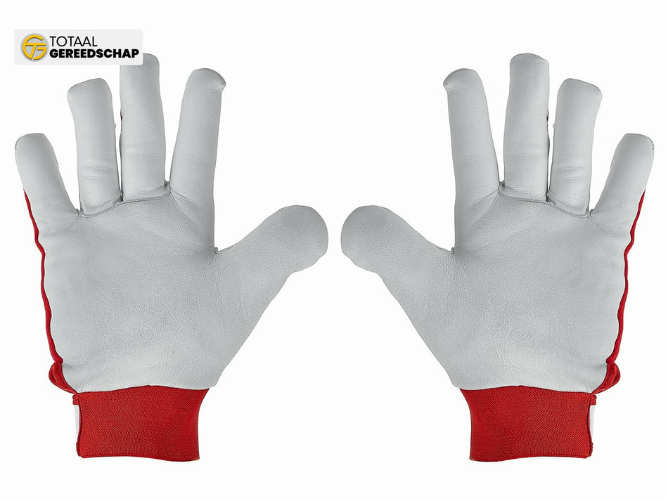 Goat leather winter gloves, elastic cotton back, velcro cuff s.10