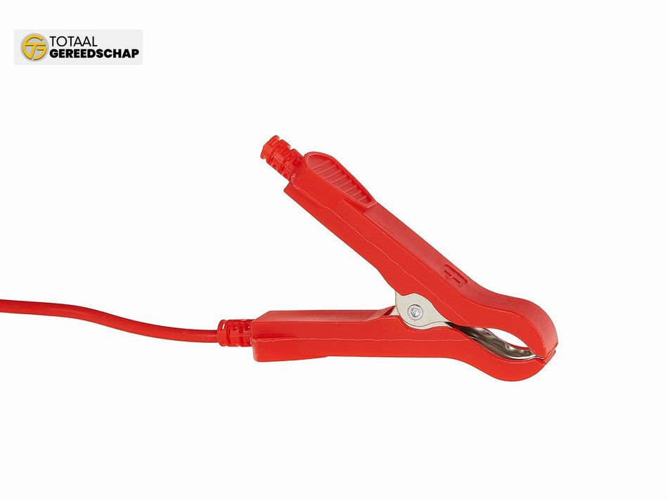 12/24V 10A automatic car charger with battery repair function