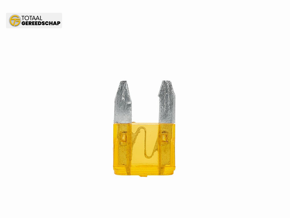 19mm 25A fuse socket + 5A fuse