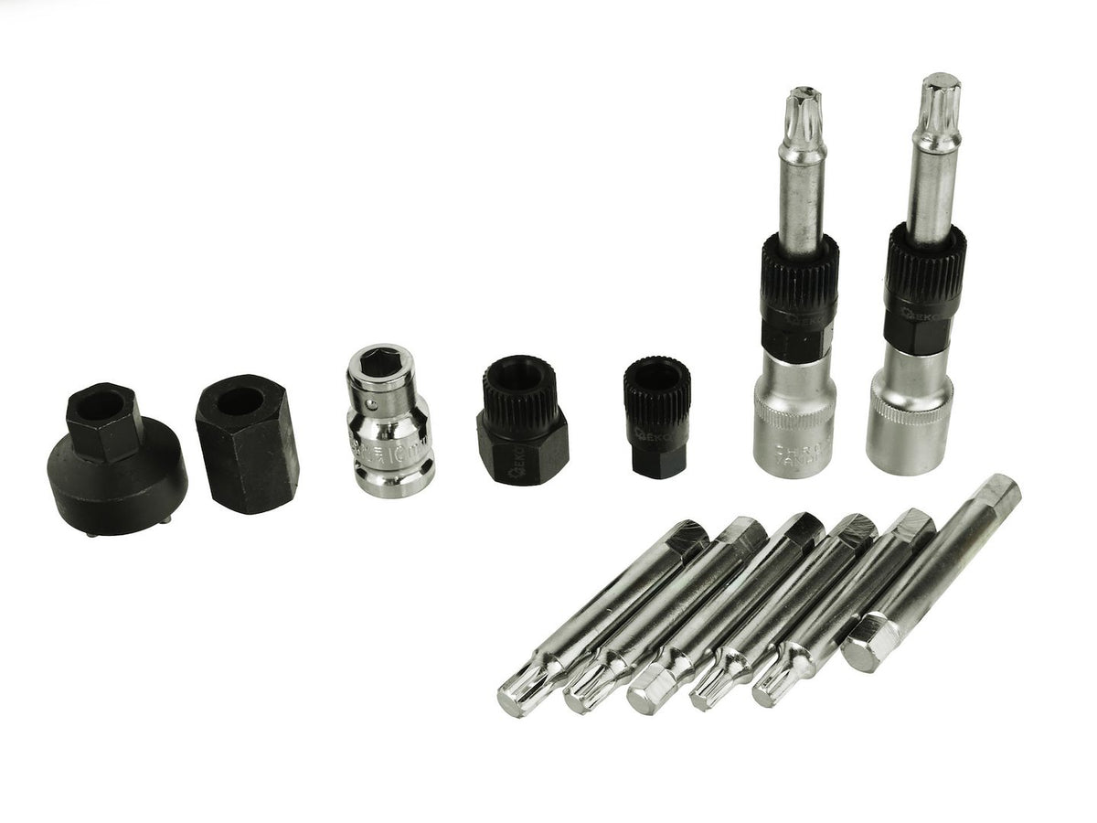 13-delig 1/2” dynamo zeskant- en sterbitset
