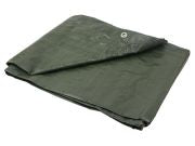 PE-zeil 6x10m groen/dik