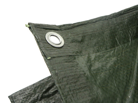 PE-zeil 10x15m groen/dik