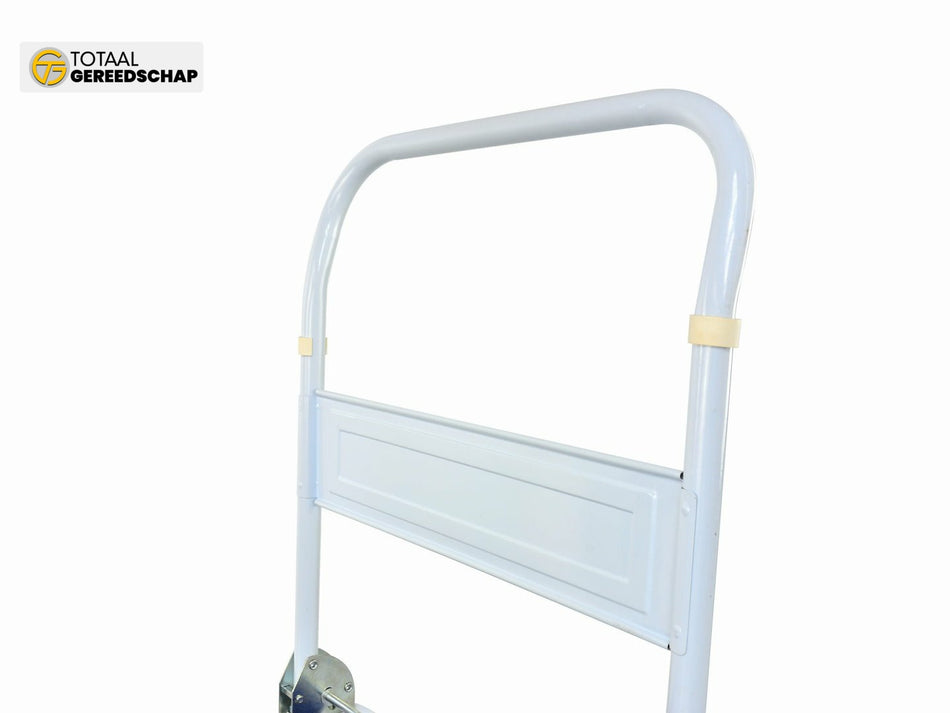 Platform Hand Truck 300KG