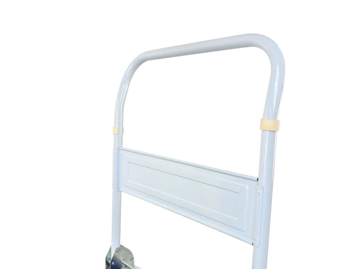 Platform-handtruck 300 KG