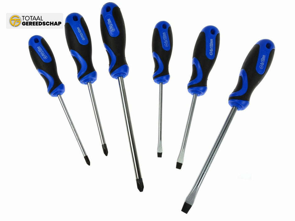 Screwdriver Set Philips & Slotted 6pcs
