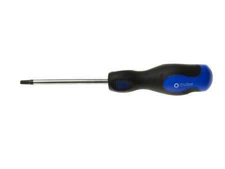 T-27 x100mm Torx-schroevendraaier