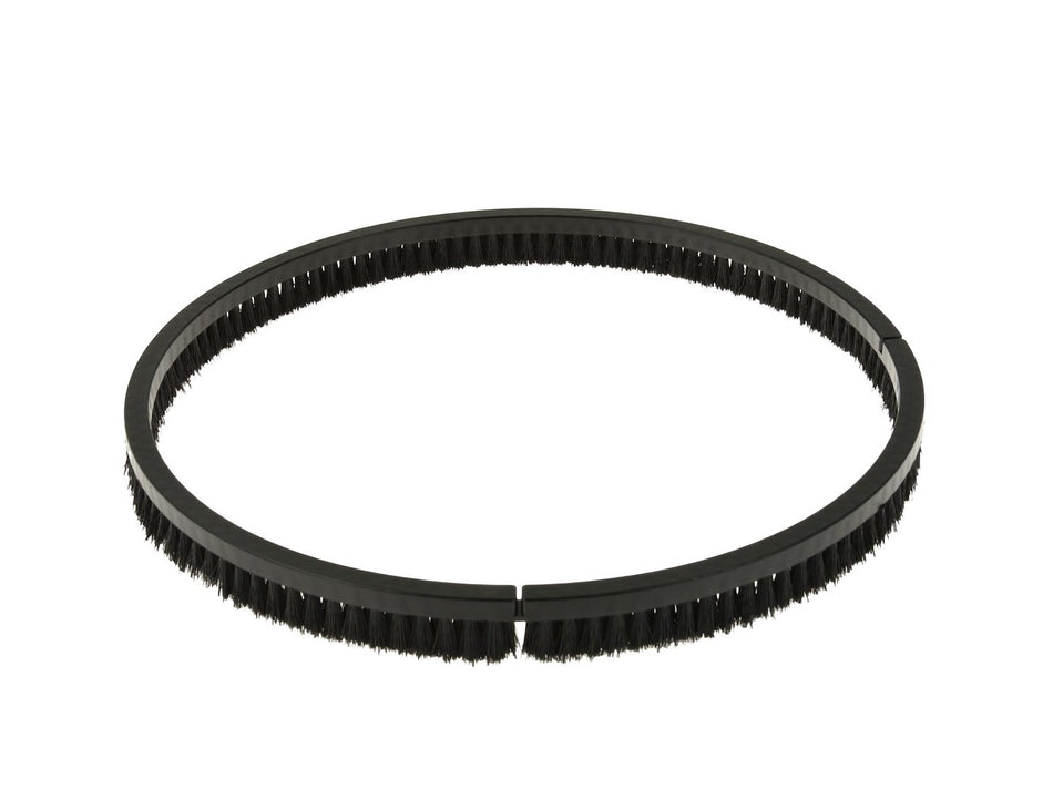 Lange borstelsegment