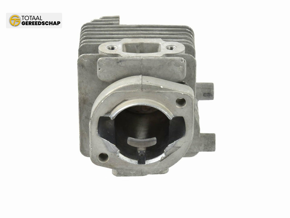 Cylinder for petrol blower G84010