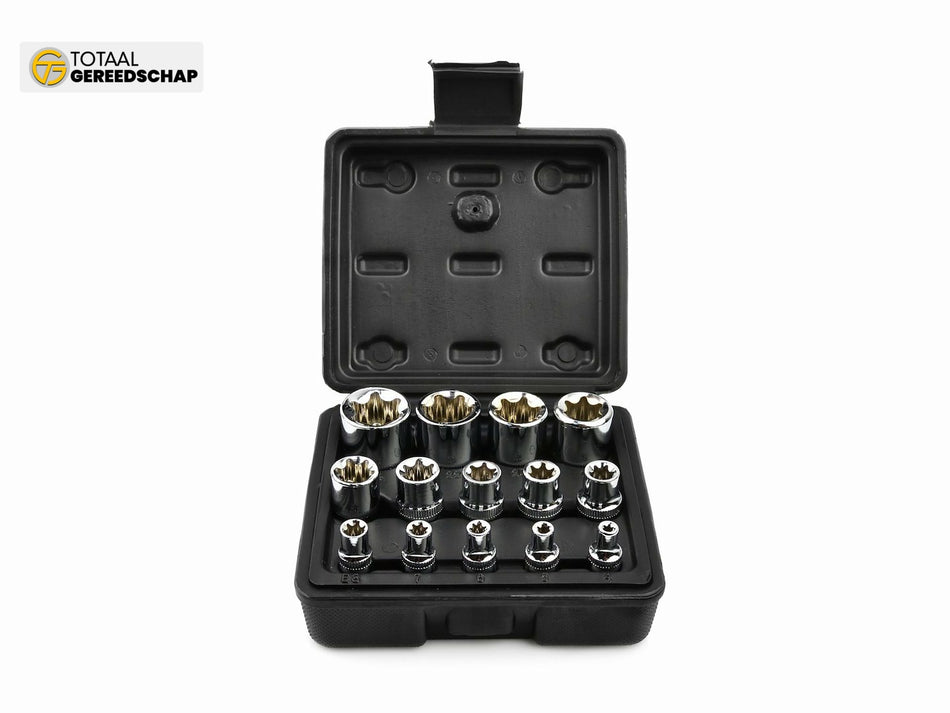 14pcs E4-E24 TORX Socket Set