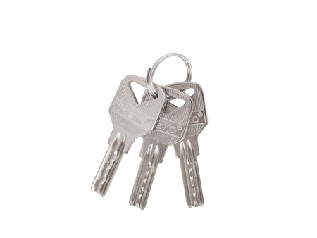 Set gesatineerde hangsloten 50 mm 3 stuks (zelfde sleutel)
